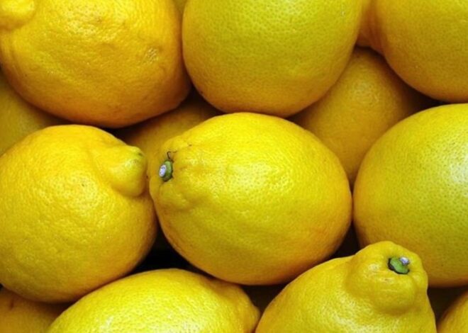 Limon fiyatlarında makas 10 katı aştı